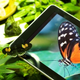 Image for article titled Apple iPad Review